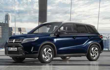 2025-01-motiv-vitara.jpg (450×288)